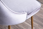 Marcel Dining Chair - Set of 2 - Gold Metal, Silver Velvet