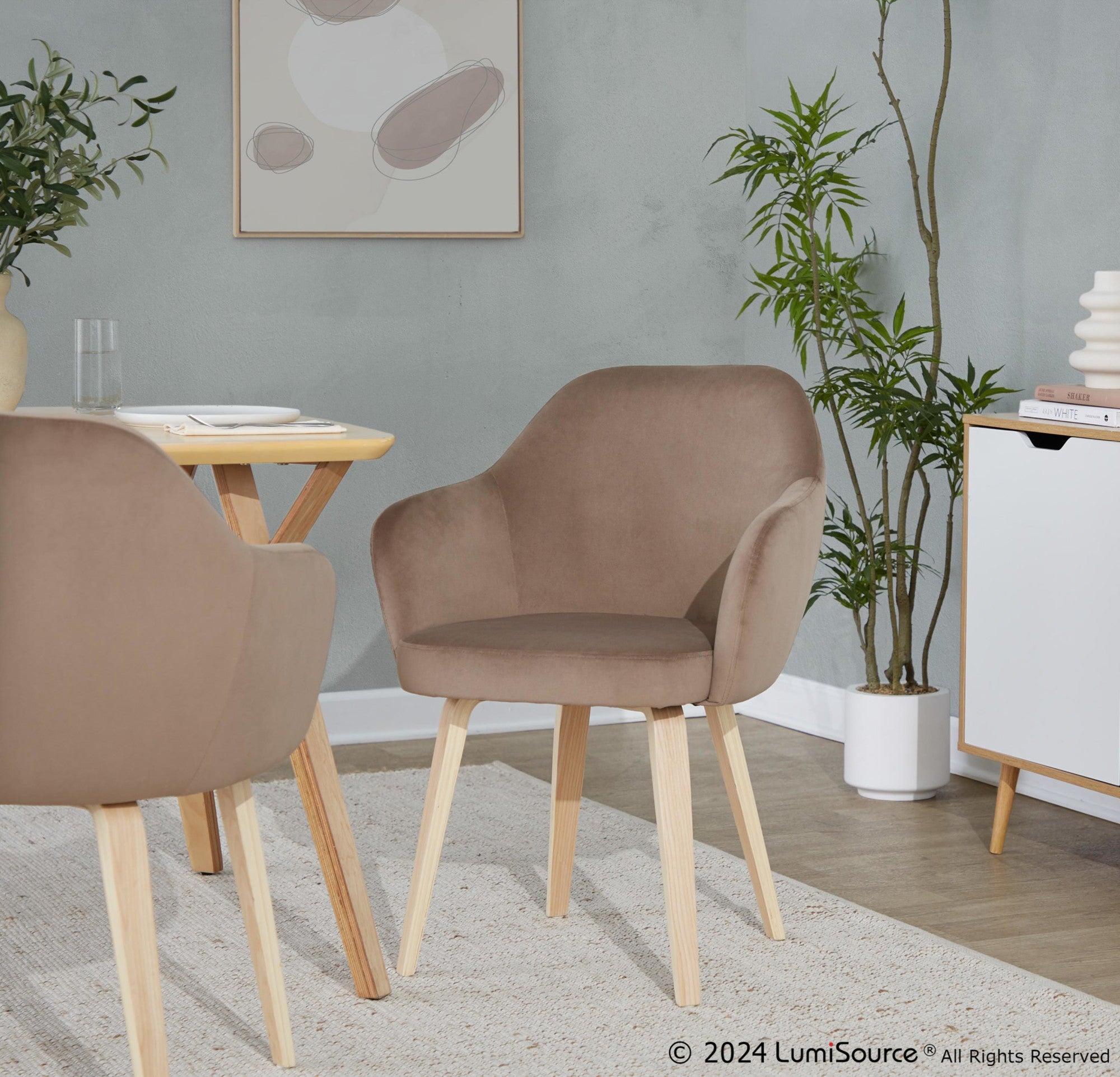 Buena Dining Chair - Set of 2 - Natural Wood, Brown Velvet