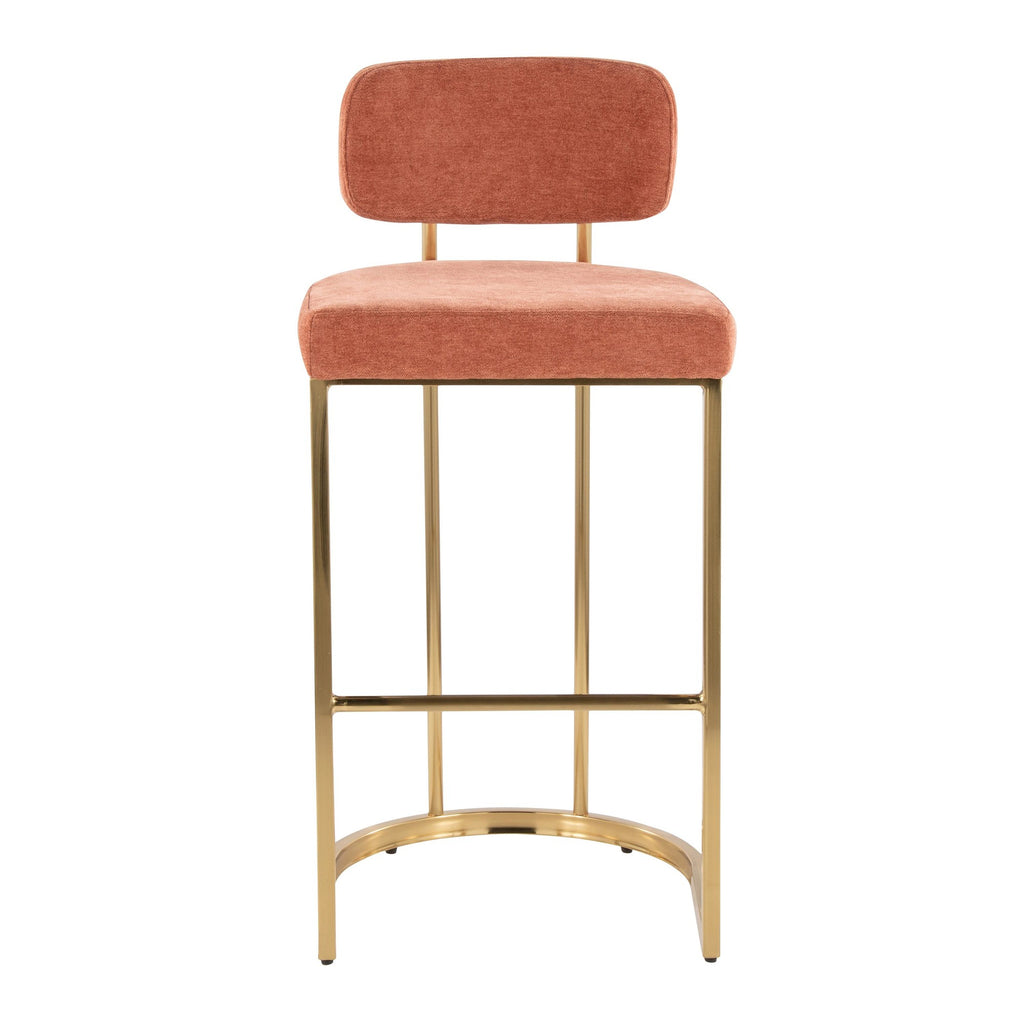 Mid-back Demi 30" Fixed-Height Barstool - Set of 2 - Gold Metal, Salmon Fabric
