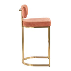 Mid-back Demi 30" Fixed-Height Barstool - Set of 2 - Gold Metal, Salmon Fabric