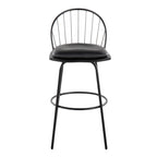 Riley Claire 30" Fixed-Height Barstool - Set of 2 - Black Metal, Black Wood, Black PU