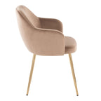 Buena Dining Chair - Set of 2 - Gold Metal, Brown Velvet
