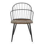 Riley Arm Chair - Set of 2 - Black Metal, Dark Walnut Wood