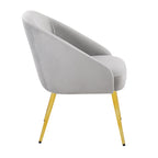 Shiraz Chair - Gold Metal, Silver Velvet